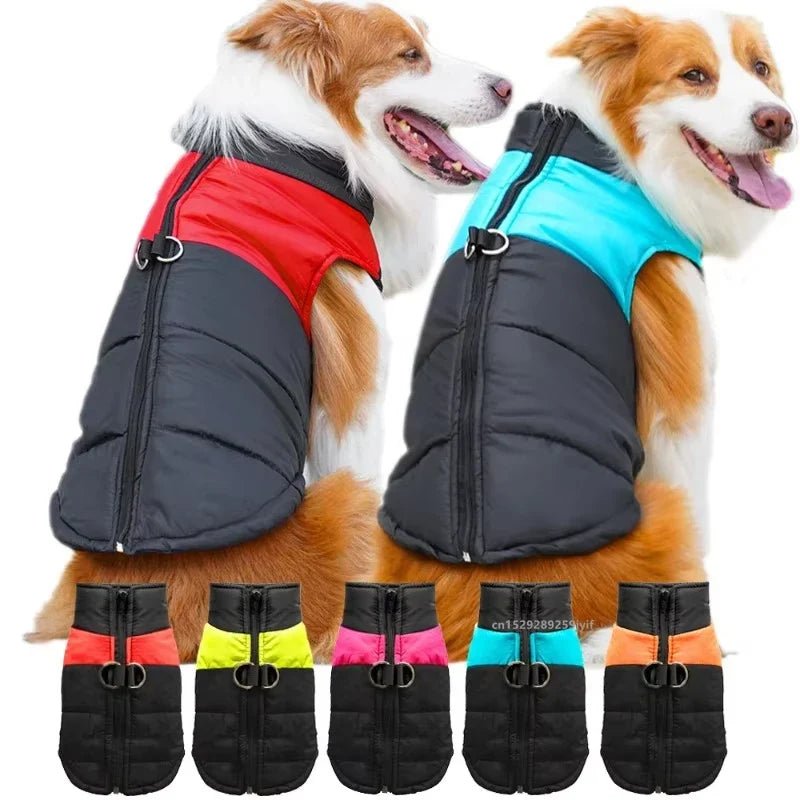 Pet Coats