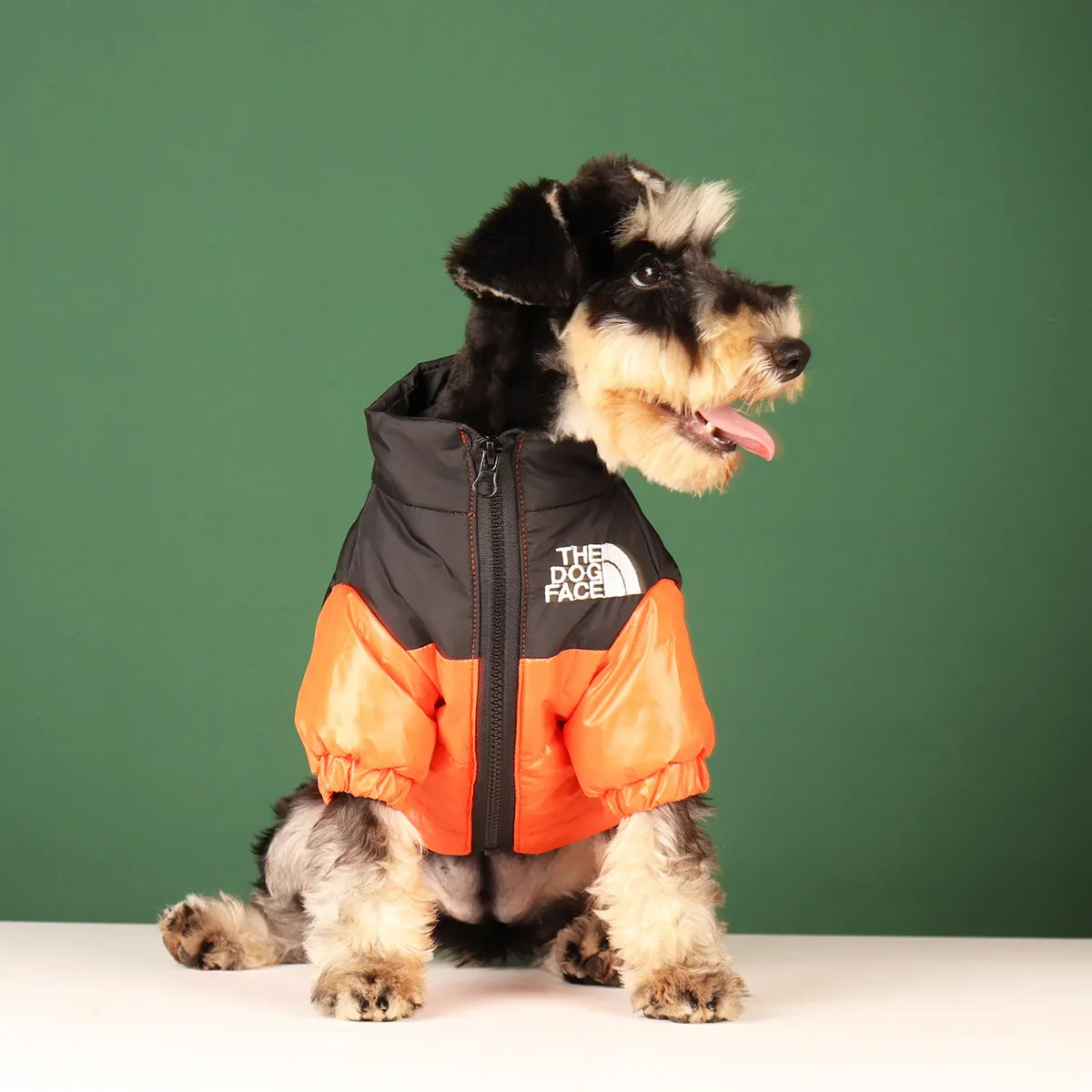 Pet Hoodies